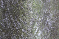 Haddington fibreglass roof work